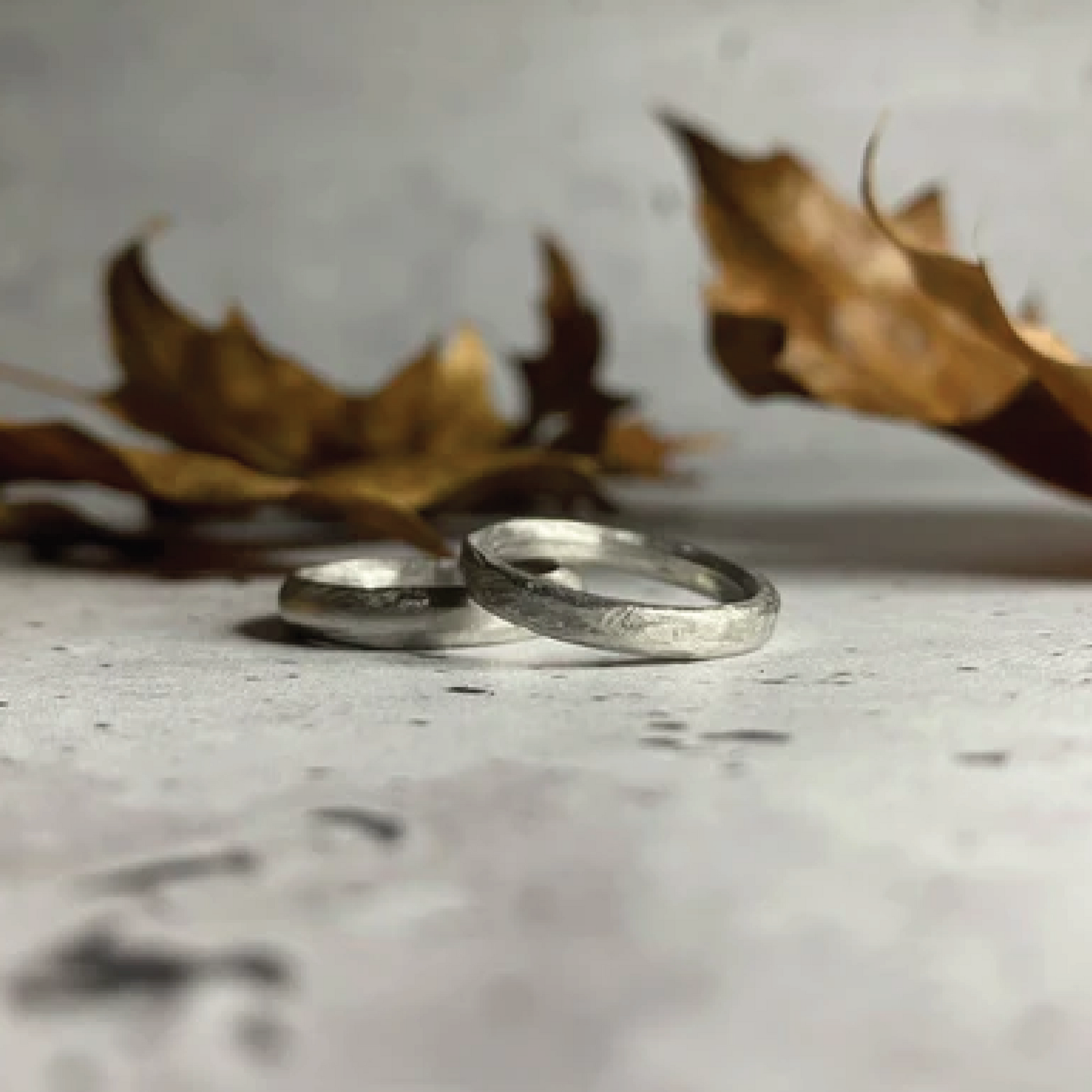 make your own wedding rings – Shiny Bones - Main Image